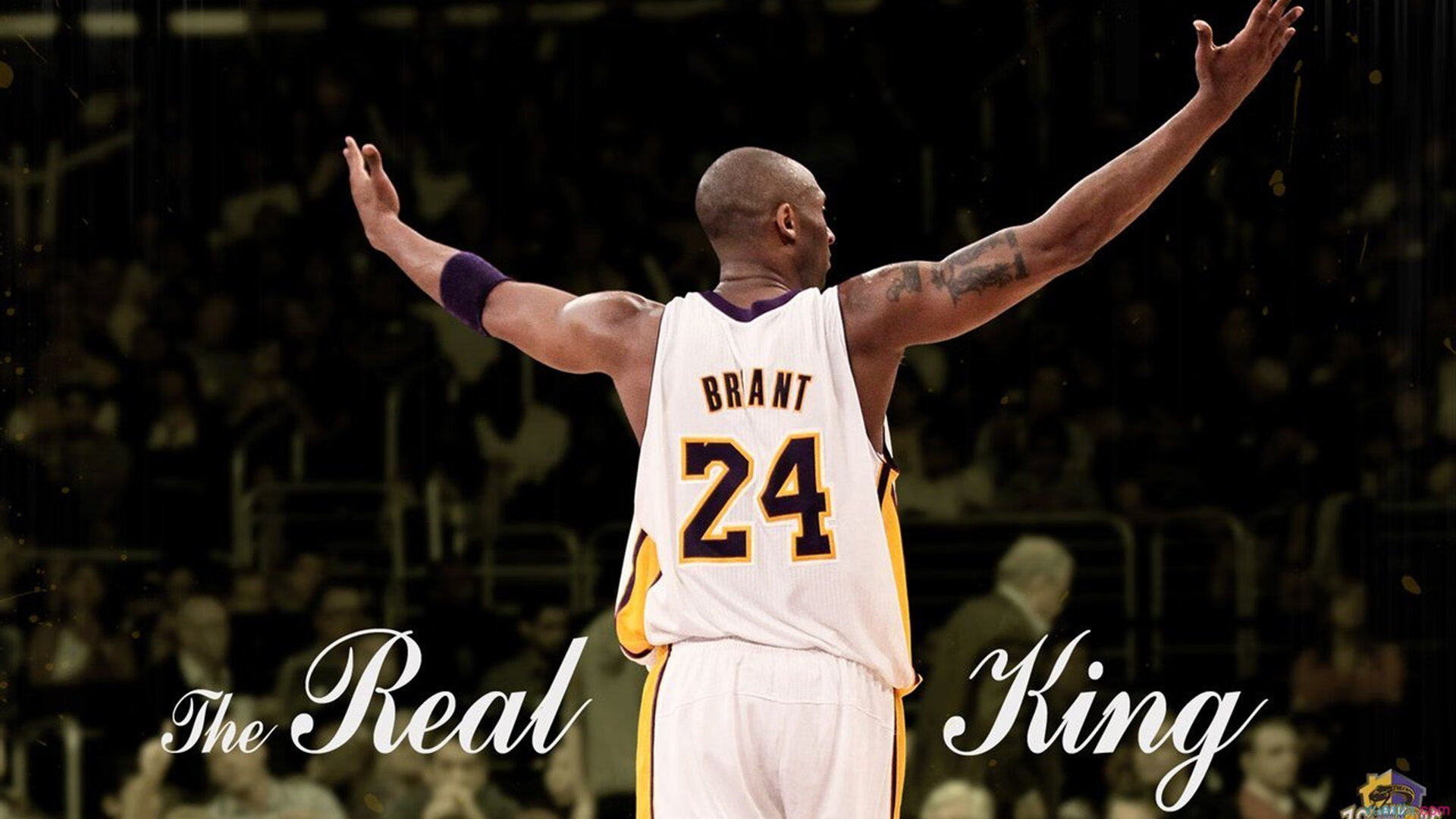 科维托娃赛事官方发布大胜新规，快船争议不断！